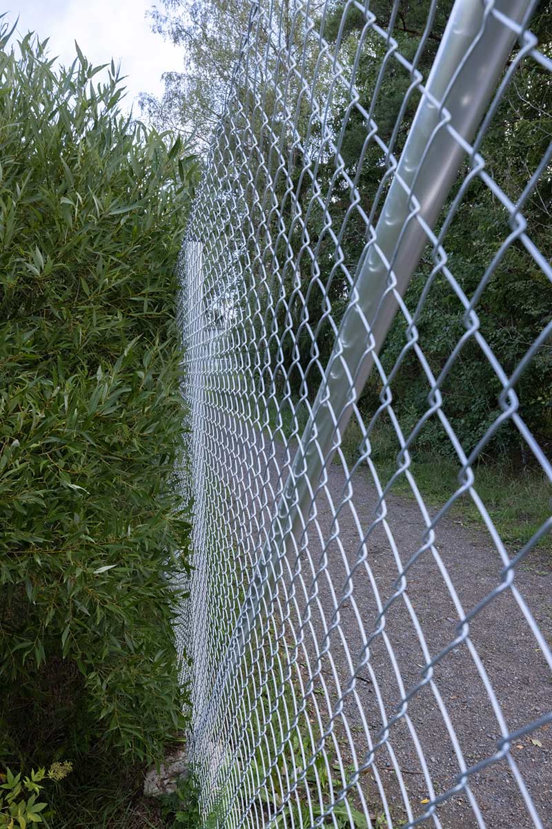 Panssariverkkoaita vs säleverkkoaita: vertailu ja valintaopas